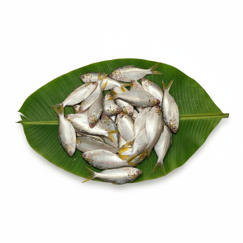 Khoira (Medium Size) - Cut & Cleaned - (200-220 gm) Net Wt.