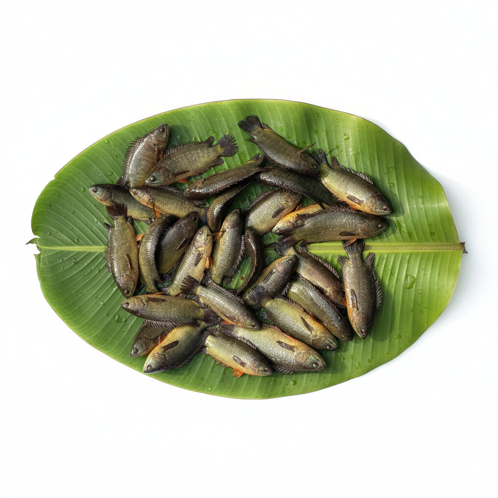 Deshi Koi Maach Mix Size Cut – Cleaned (220-250g) Gross Wt.
