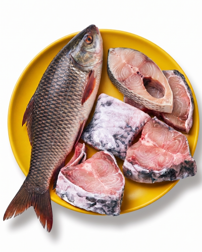 Fresh Fish (Large Size)