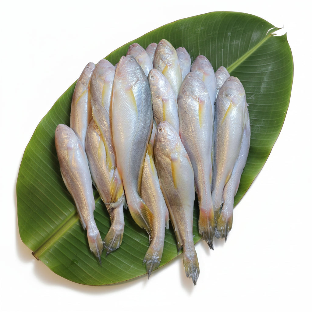 Sada Bhola - Whole - Cleaned - Fry Piece -(250gm) Gross Weight