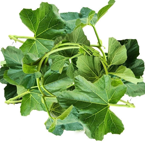 Lau Saag (1 Bunch)-(upto  500 Gm)