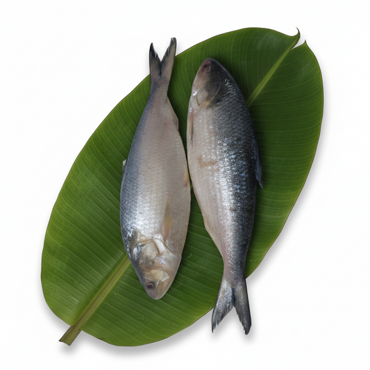 Diamond Harbour Hilsa – Whole Fish Ring Cut (850gm -900 gm ) - Sunday Delivery