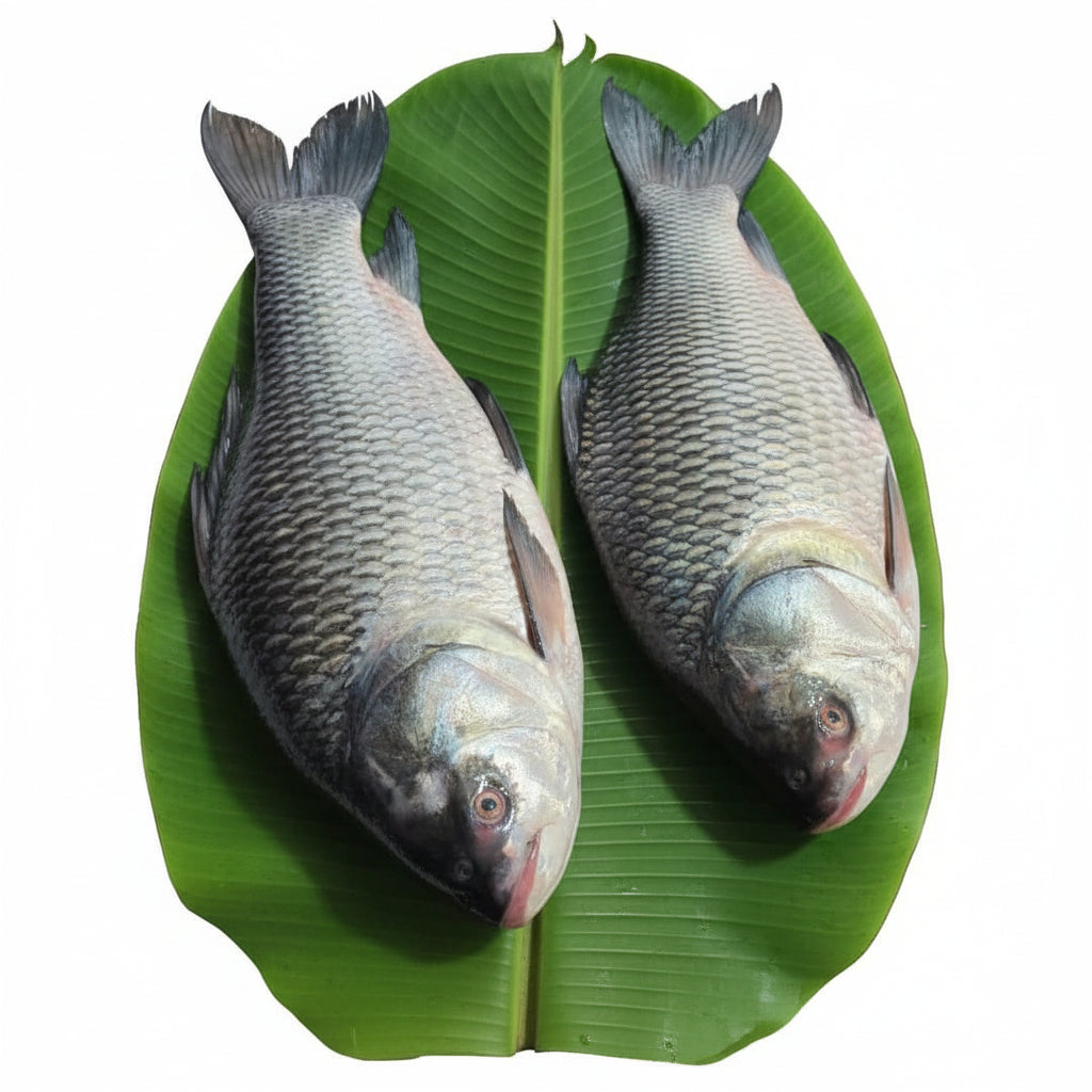 River Katla (3Kg - 5Kg) - Peti Gada (420-450) Gm Net weight