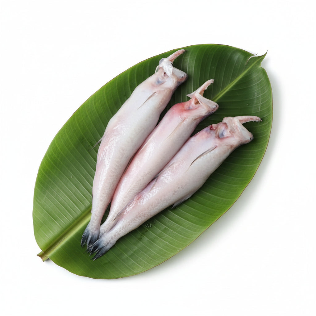 Loitta / Bombil (Small size) – Fresh Cut & Cleaned (130-150g Net Weight)