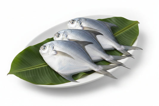 Pomfret Medium - 250 Gm Pack - Cut & Cleaned