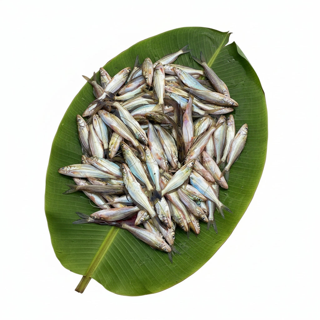 Sada Tyangra (Small to Medium Mix Size) - Cut & Cleaned- upto 250 gm Net Wt.
