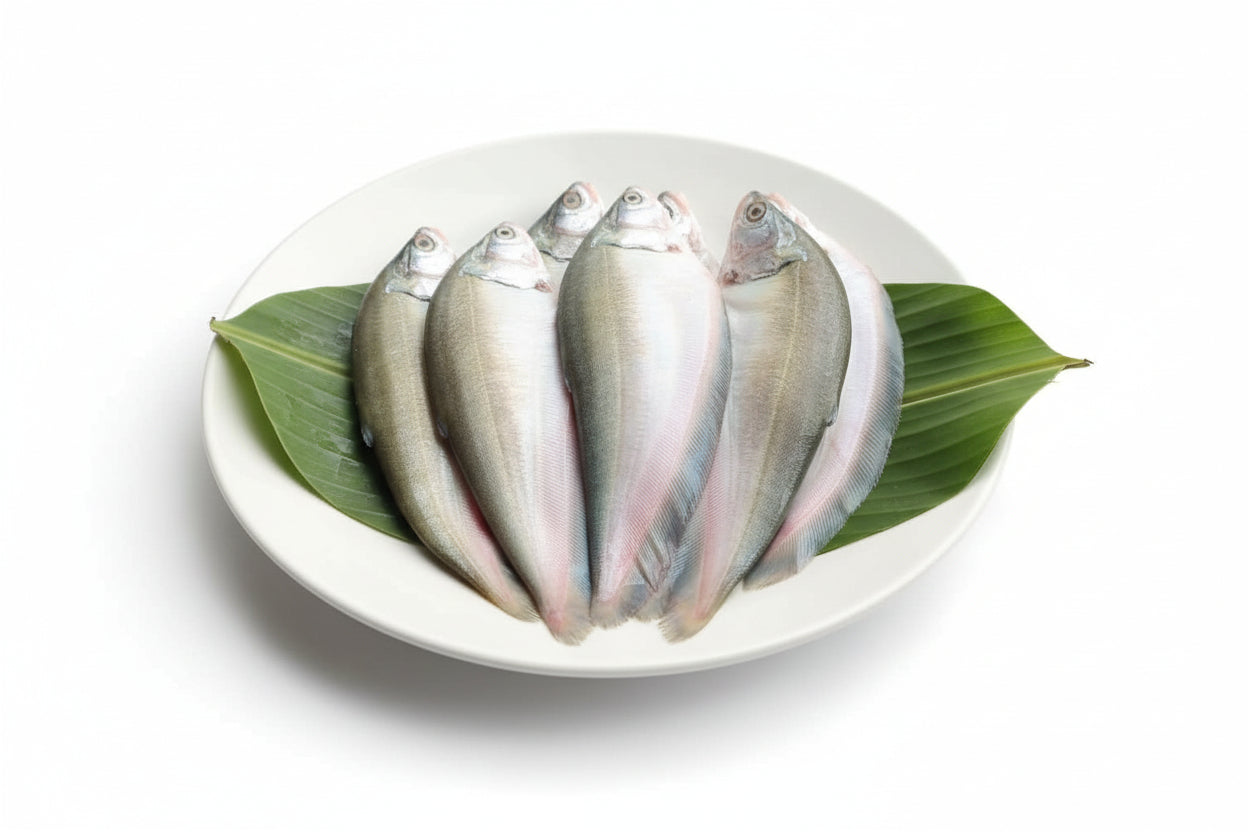Premium Tista River Foli – Cut & Cleaned (2pc, 220-250g Gross)