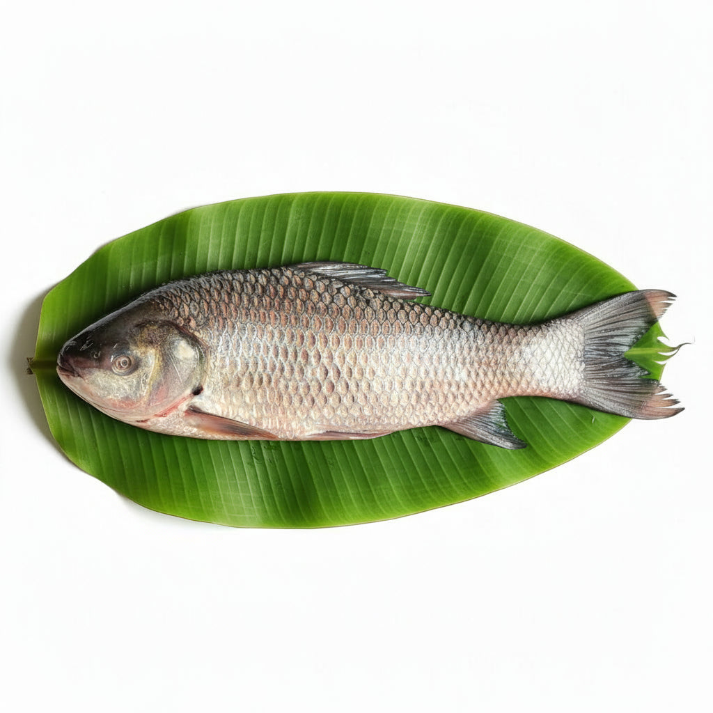 Bilaspur River Rohu (3-5kg) –PETI GADA (350 gm Net) (2 PETI MUST PACK) (NO HEAD)