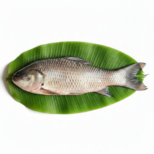 Bilaspur River Rohu (3 kg) – Bengali Peti Gada Cut - 500 Gm Gross