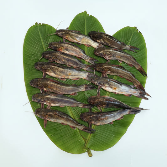 Kalo Tangra - Cut & Cleaned - 230-250gm - Gross Weight -Mix Sizes - May contain Egg