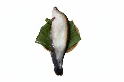 Chitol Gada - (360-400 Gm)-GADA CUT