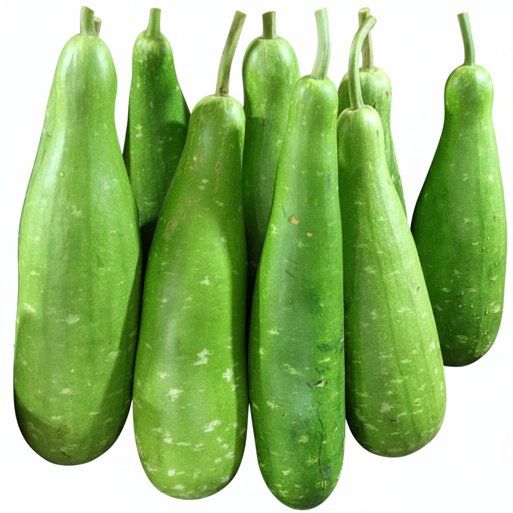 Kolkata Lomba Lau - 1 Pc (Medium to Big)