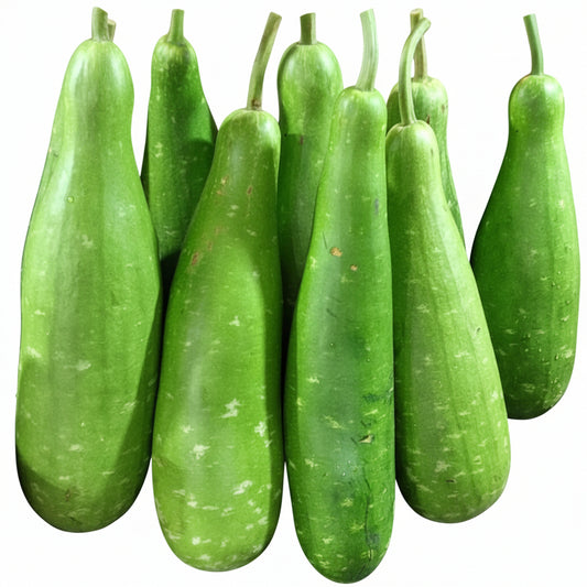 Kolkata Lomba Lau - 1 Pc (Medium to Big)
